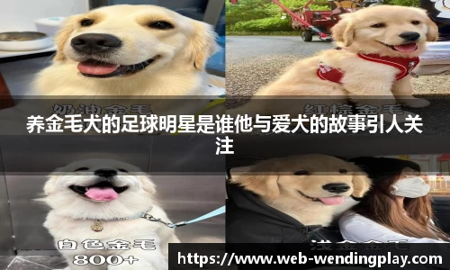 问鼎娱乐